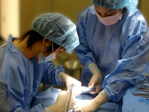 手術・麻酔の環境