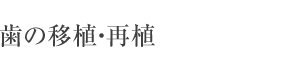 札幌東区　歯の移植・再植